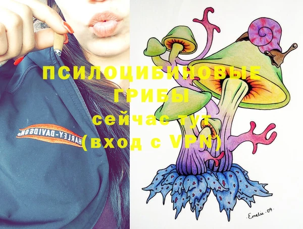 соль ск Балахна