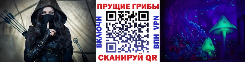 Псилоцибиновые грибы мицелий  Заречный 